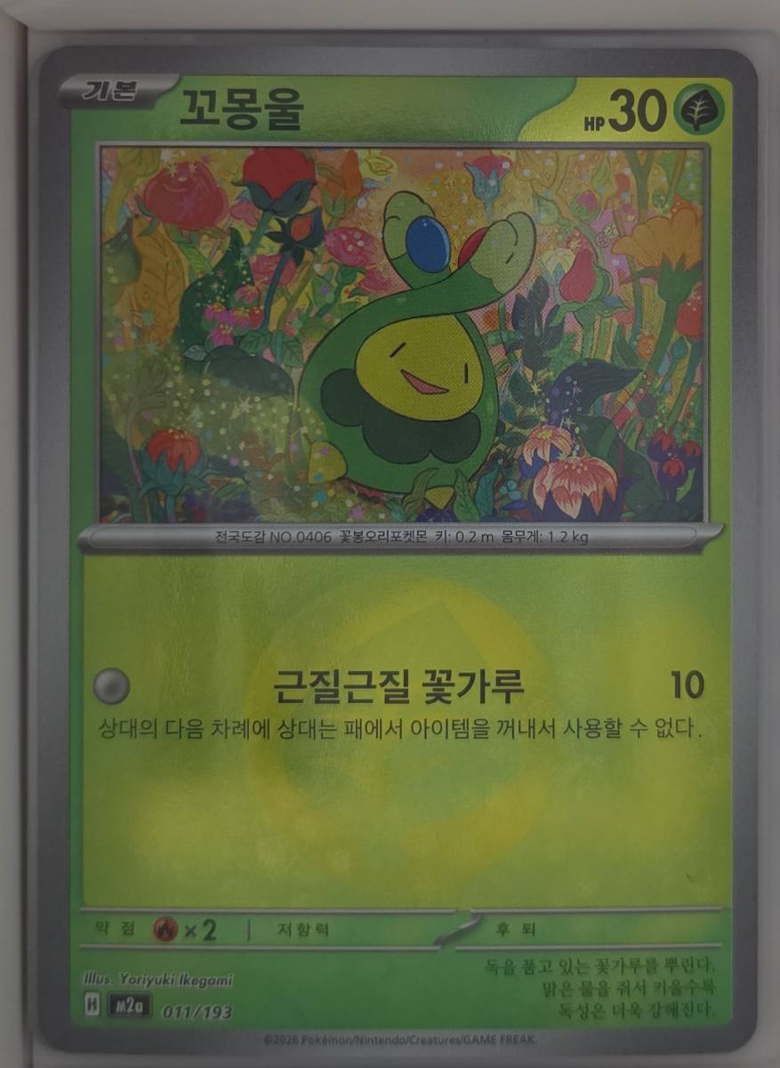꼬몽울 B급 판매자 실물 사진